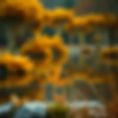 A serene landscape reflecting the warmth of amber tones