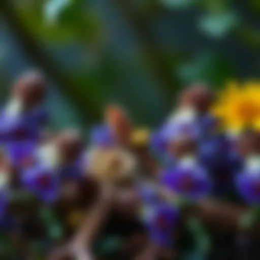 Aromatic plants with healing properties