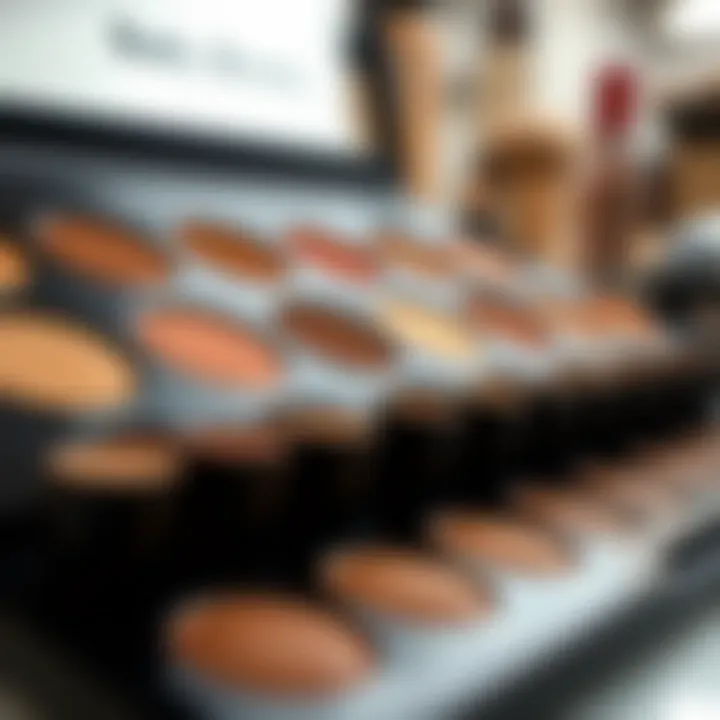 Palette of color samples for selecting the right baby brown tone