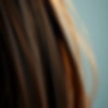 Close-up of hair dyed in a glossy baby brown finish