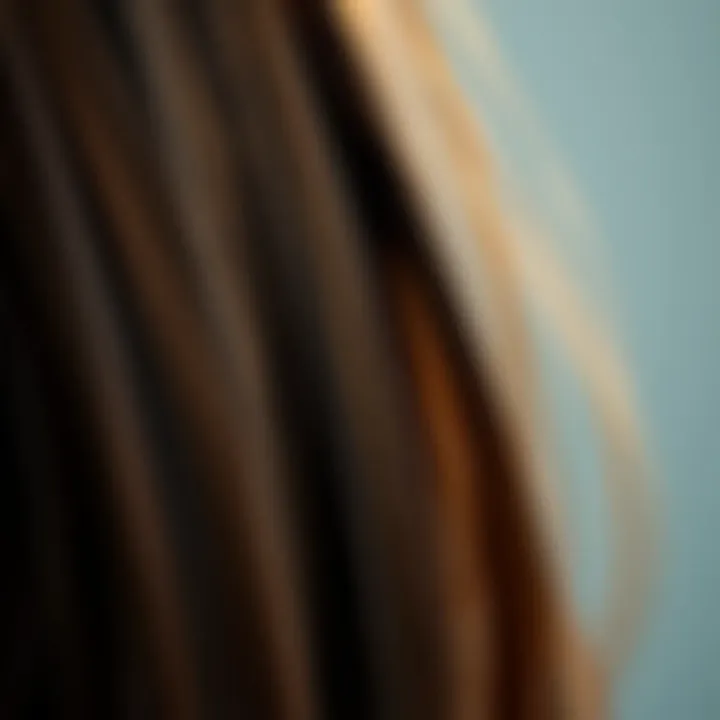 Close-up of hair dyed in a glossy baby brown finish