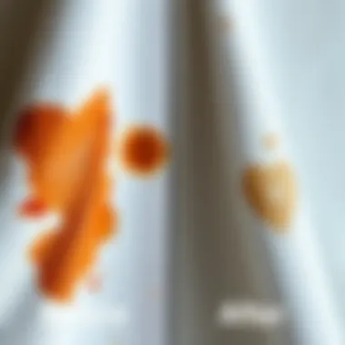 Before and after stain removal comparison