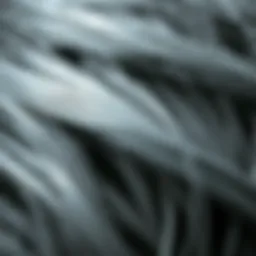 Close-up view of gray hair texture