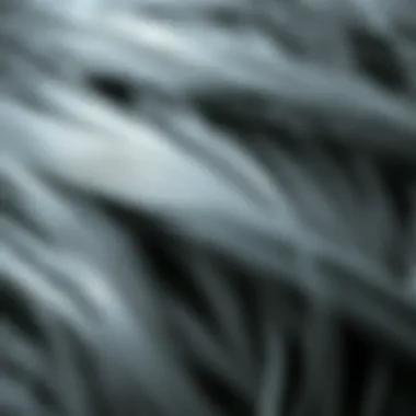 Close-up view of gray hair texture