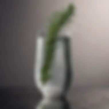 An elegant glass of infused rosemary water