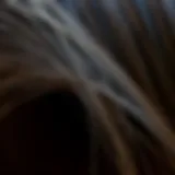 A close-up view of split ends on hair strands