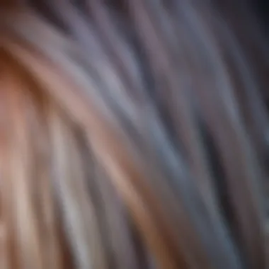 The Result of a Successful Hair Coloring A close-up of shiny, beautifully colored hair.