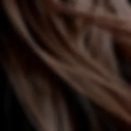 A close-up view of hair texture highlighting stiffness