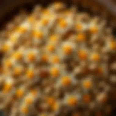A close-up view of dried chamomile flowers ready for brewing