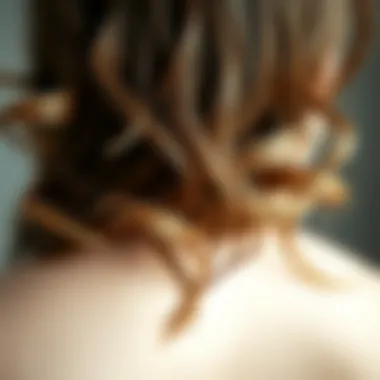 Healthy hair roots illustration