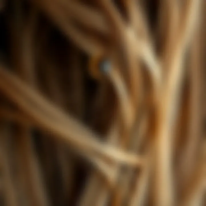 A close-up of healthy hair strands with drops of tea tree oil to signify nourishment.