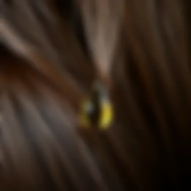 Close-up of healthy hair with a drop of turpentine oil