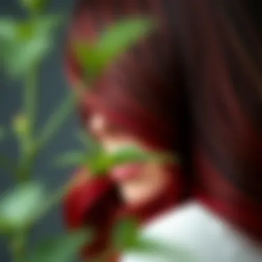 Close-up of red and black balayage technique