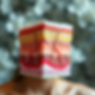 Illustration of skin layers showing collagen structure