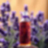 Lavender oil bottle with fresh lavender sprigs