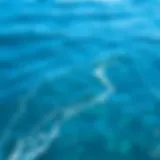 A serene blue ocean capturing the essence of tranquility and freshness.