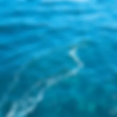 A serene blue ocean capturing the essence of tranquility and freshness.