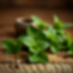 Fresh mint leaves on a wooden surface