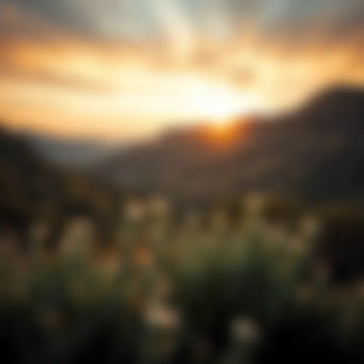 Untouched Organic Landscapes Nature's untouched beauty showcasing organic landscapes