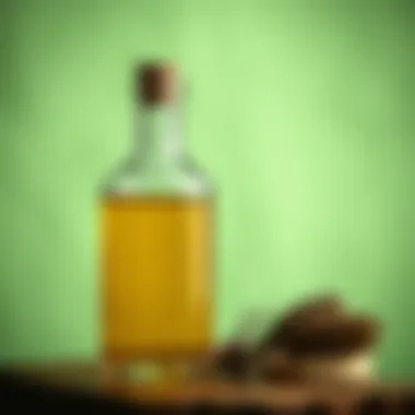 Natural pine resin oil in a glass bottle with a green background
