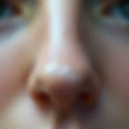 Close-up of a shiny nose showing oiliness and blackheads