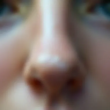 Close-up of Oily and Blackhead-Prone Nose Close-up of a shiny nose showing oiliness and blackheads