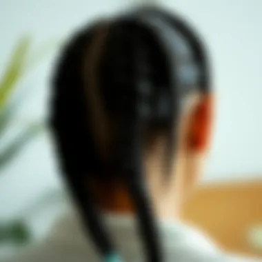 Close-up of well-maintained braided hair