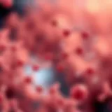 Illustration showing the molecular structure of peptides