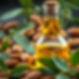 A close-up view of sweet almond oil in a glass bottle surrounded by almonds and green leaves