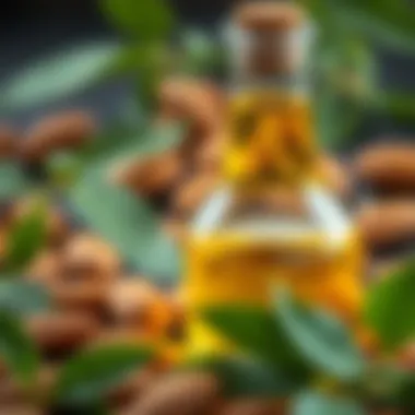 A close-up view of sweet almond oil in a glass bottle surrounded by almonds and green leaves