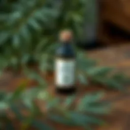 A bottle of tea tree oil placed on a wooden table surrounded by fresh tea tree leaves.