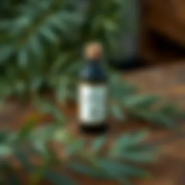 A bottle of tea tree oil placed on a wooden table surrounded by fresh tea tree leaves.