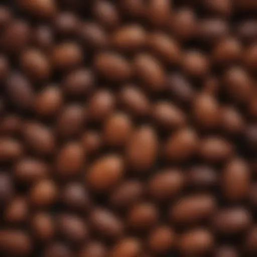 Close-up of tonka beans showcasing their unique texture and color