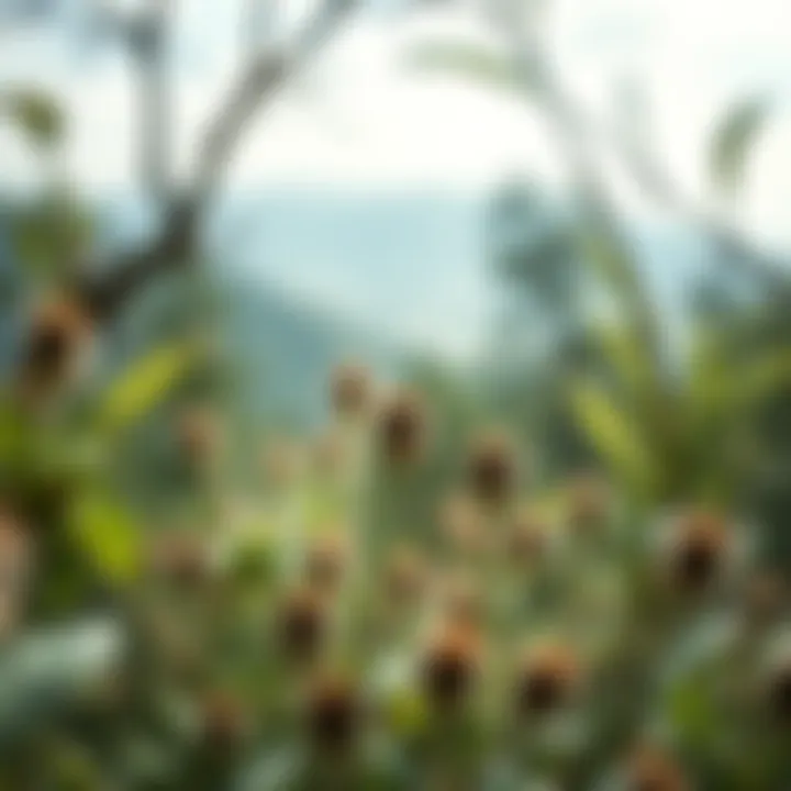 A serene environment showcasing nature's beauty and sustainability