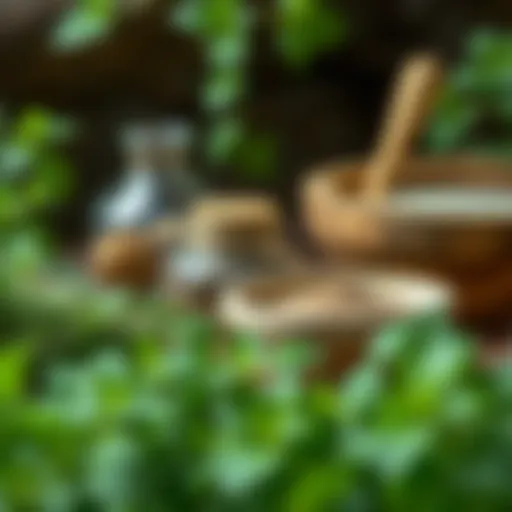 A serene natural setting with fresh herbs