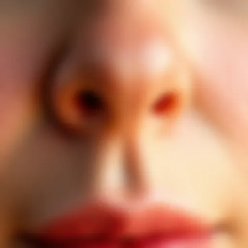 Close-up view of skin texture emphasizing pores